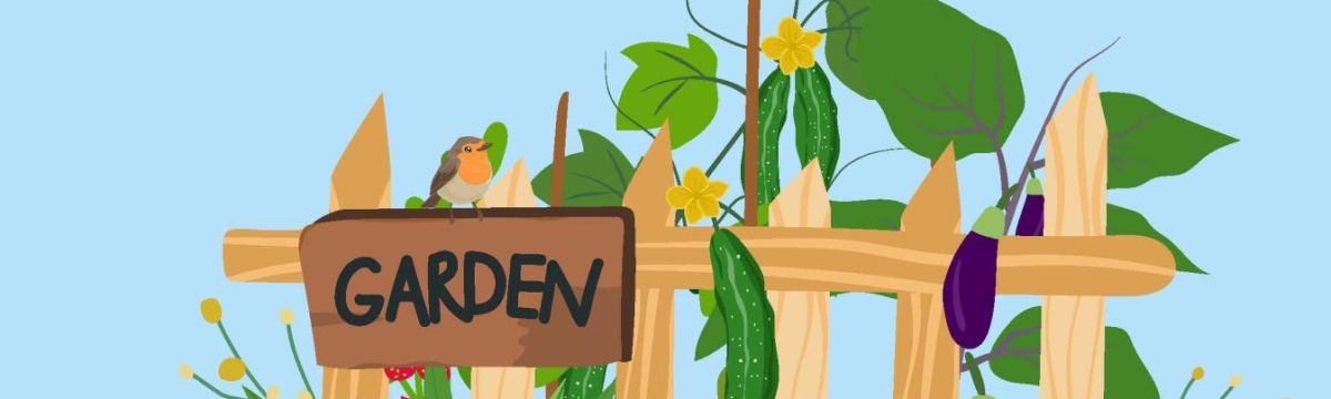 La nature près de chez moi - Oiseaux des jardins